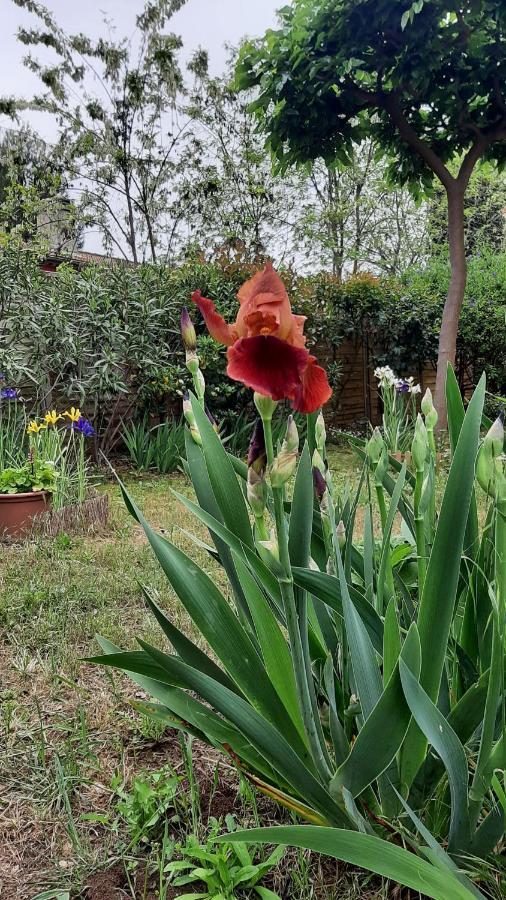 Maison Lumineuse Et Spacieuse Avec Jardin Arbore ลา วาเลตเทอ ดู วาร์ ภายนอก รูปภาพ